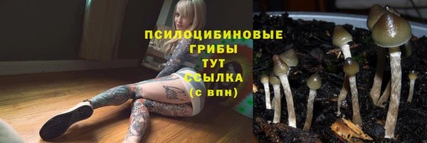 spice Мегион