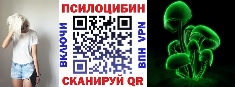 Псилоцибиновые грибы Psilocybine cubensis Купить Алагир